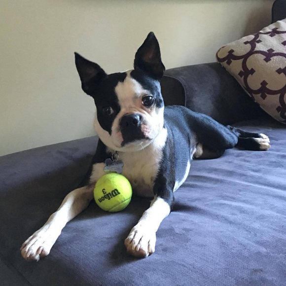 Meet your Posher, Brendan - Picture 1 of 1